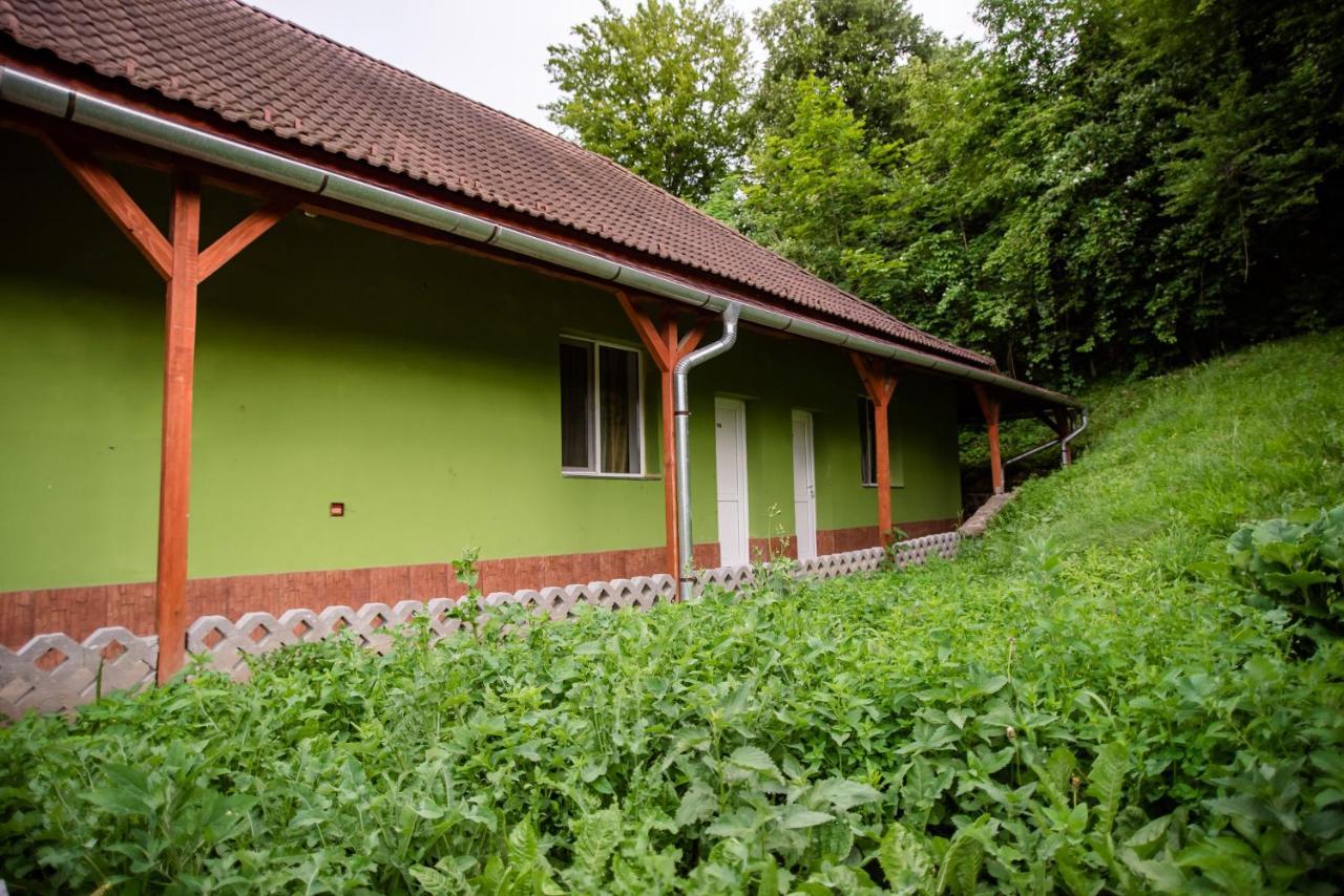 Hotel Marion Poiana Dumbraveni  Bagian luar foto